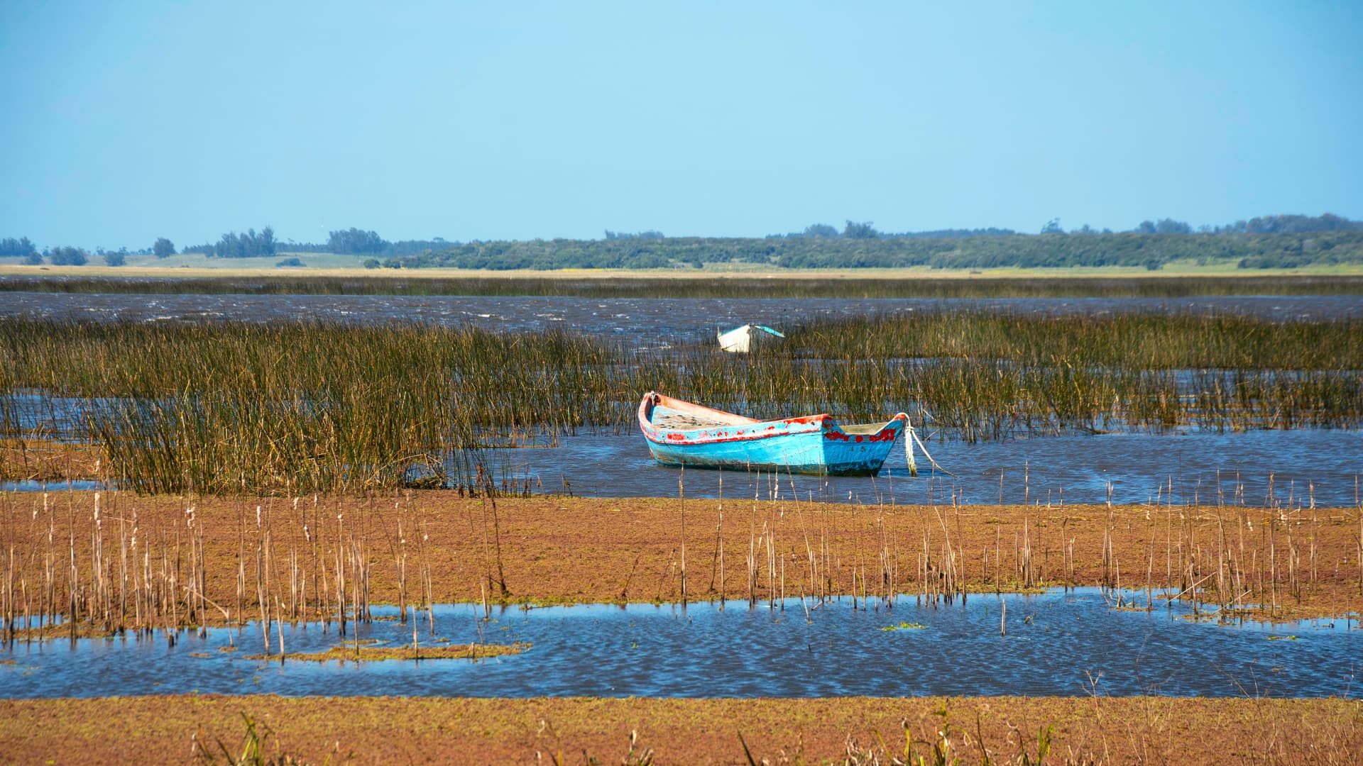 Rocha and the Northeastern Lagoons